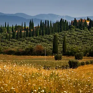 Tenuta Di Poggio Cavallo Gospodarstwo wiejskie